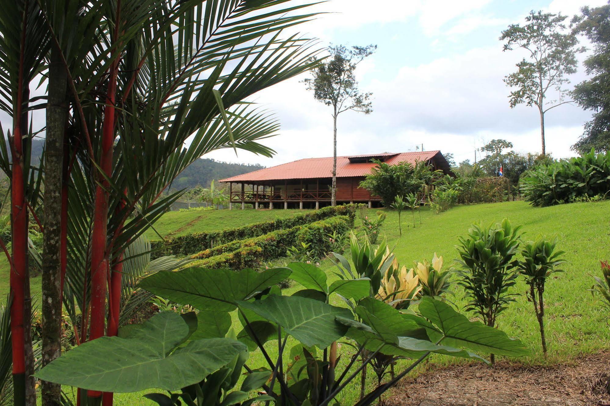 La Anita Rain Forest Colonia Dos Ríos Exterior foto